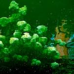 Third image from the photoset 'brugge (iii)'.