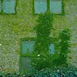 Ninth image from the photoset 'brugge (iii)'.