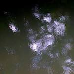 Image: Fourth image from the photoset 'brugge (iv)'.