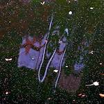 Image: Eighth image from the photoset 'brugge (iv)'.