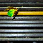 Sixth image from the photoset 'brugge (vi)'.