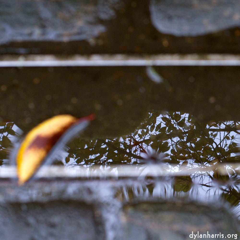 Image: Image 'parc (xii) 1'.