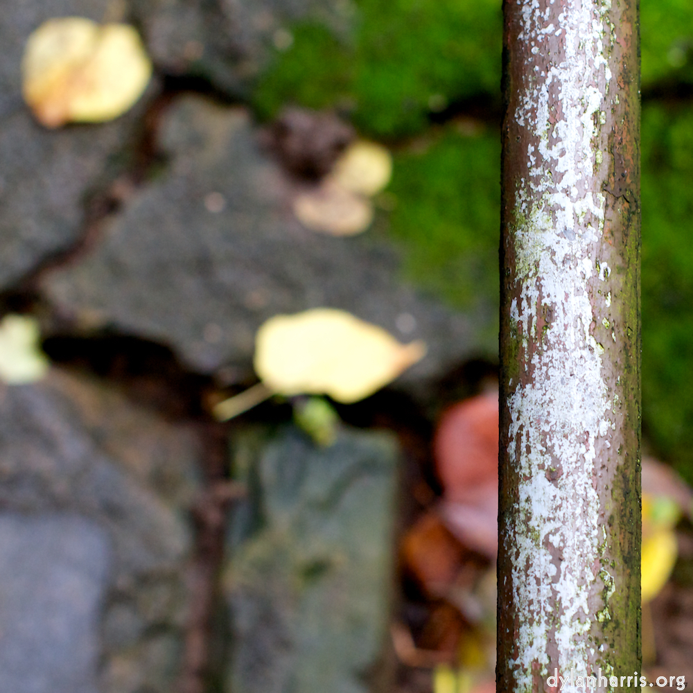 Image: Image 'parc (xii) 3'.