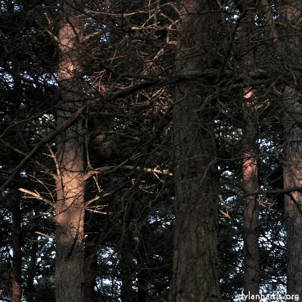 Image: Image 'irchester 1'.