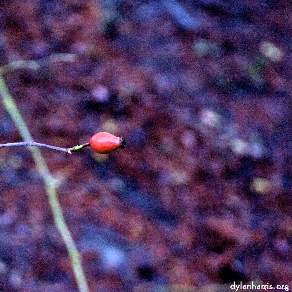 Image: Image 'irchester 2'.