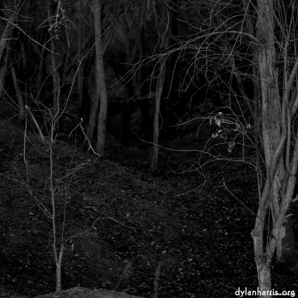 Image: Image 'irchester 3'.