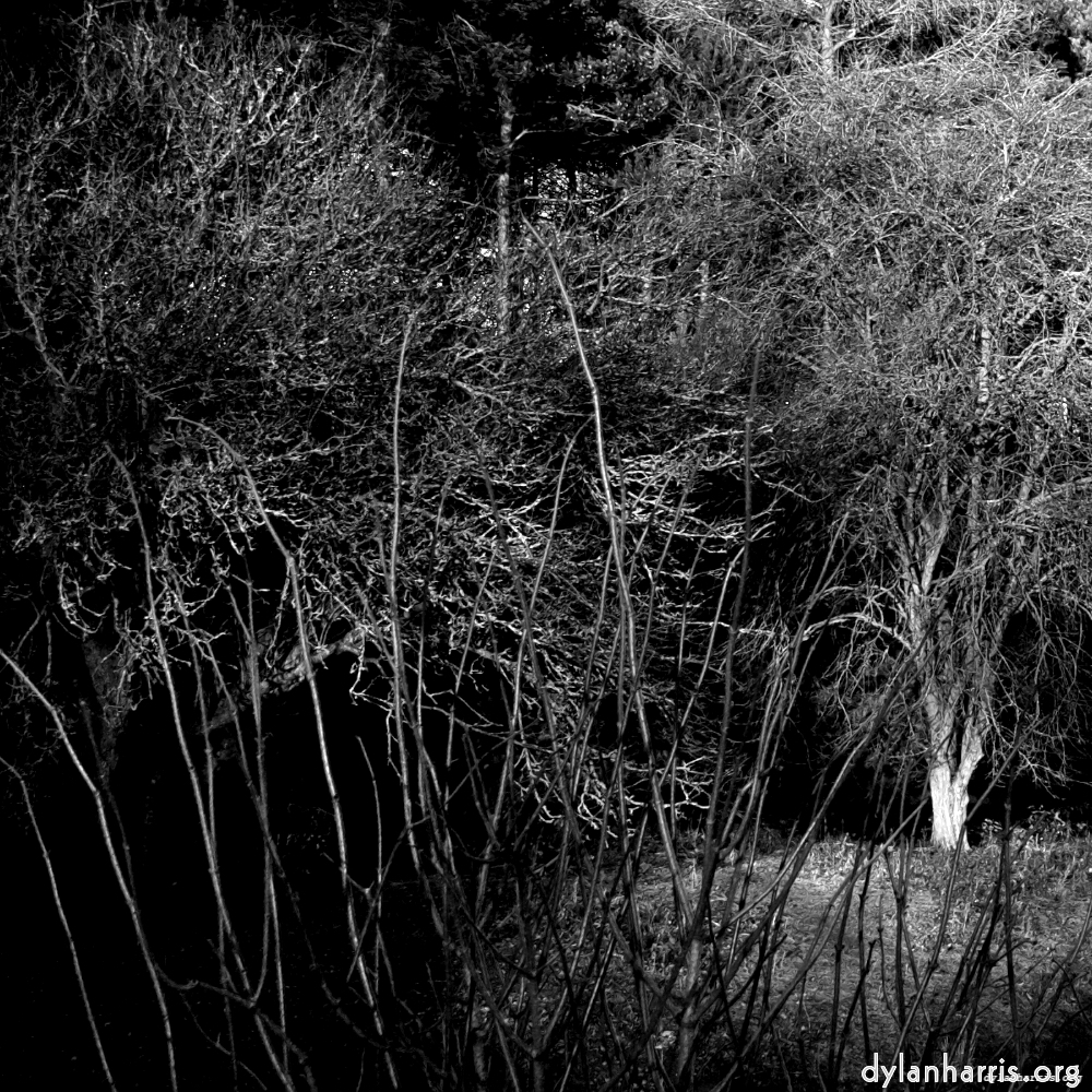 Image: Image 'irchester 4'.