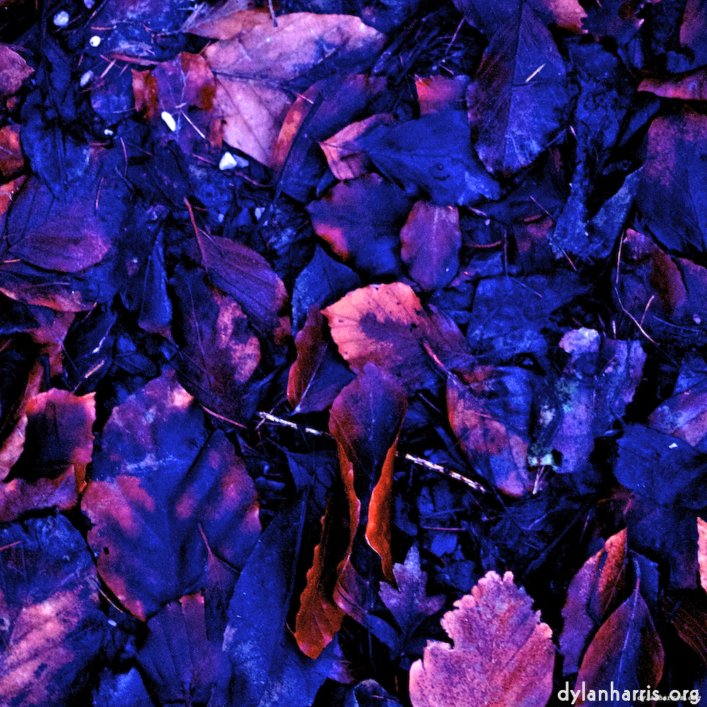 Image: Image 'irchester 8'.