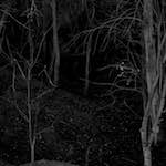 Image: Third image from the photoset 'irchester'.