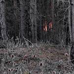 image: the next big thing