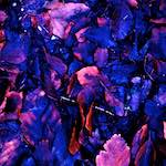 Image: Eighth image from the photoset 'irchester'.