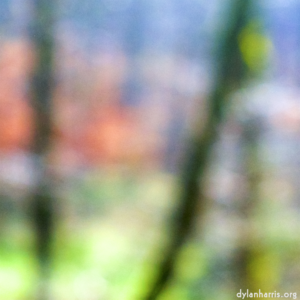 image: This is ‘
wood (xxvi) 2
’.