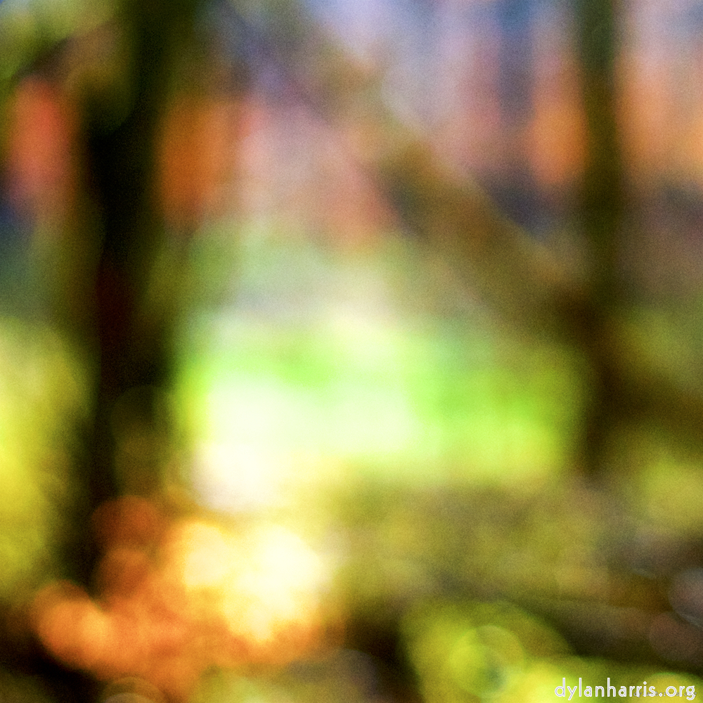 image: This is ‘
wood (xxvi) 5
’.