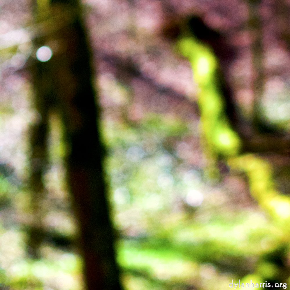 Image: Image 'wood (xxvi) 6'.