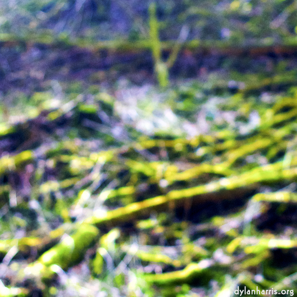 image: This is ‘
wood (xxvii) 1
’.