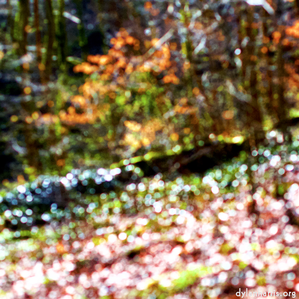 image: This is ‘
wood (xxvii) 2
’.