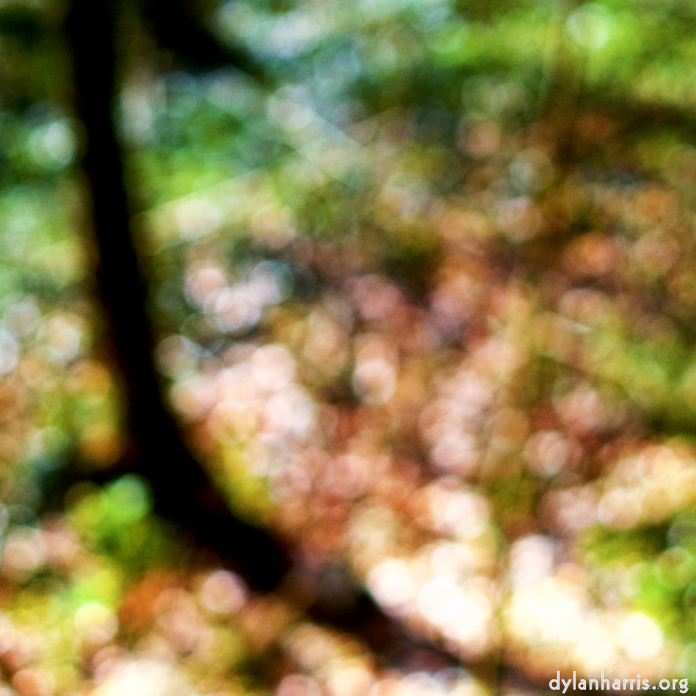 image: This is ‘
wood (xxvii) 3
’.