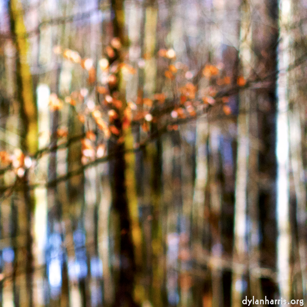 image: This is ‘
wood (xxviii) 1
’.