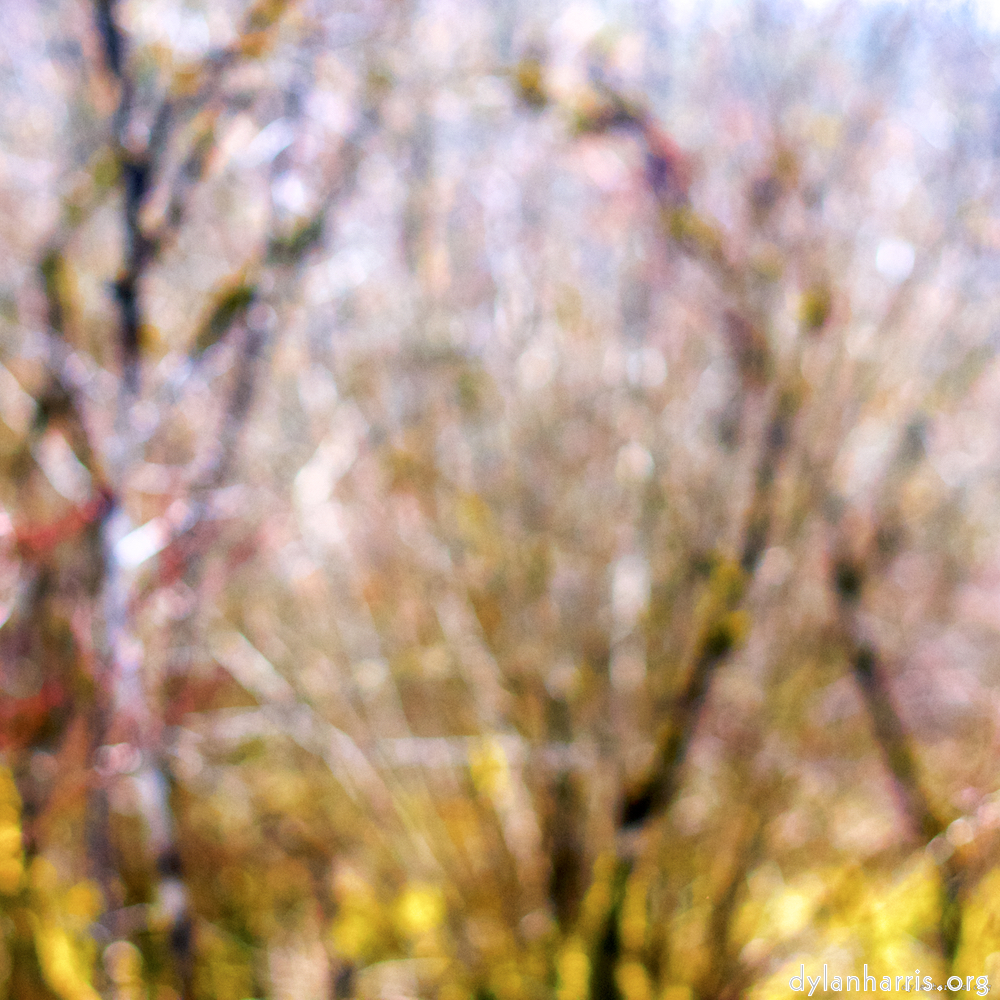 Image: Image 'wood (xxviii) 3'.