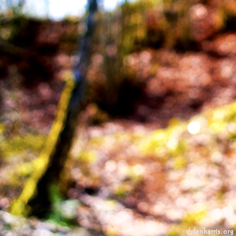 image: This is ‘
wood (xxix) 1
’.