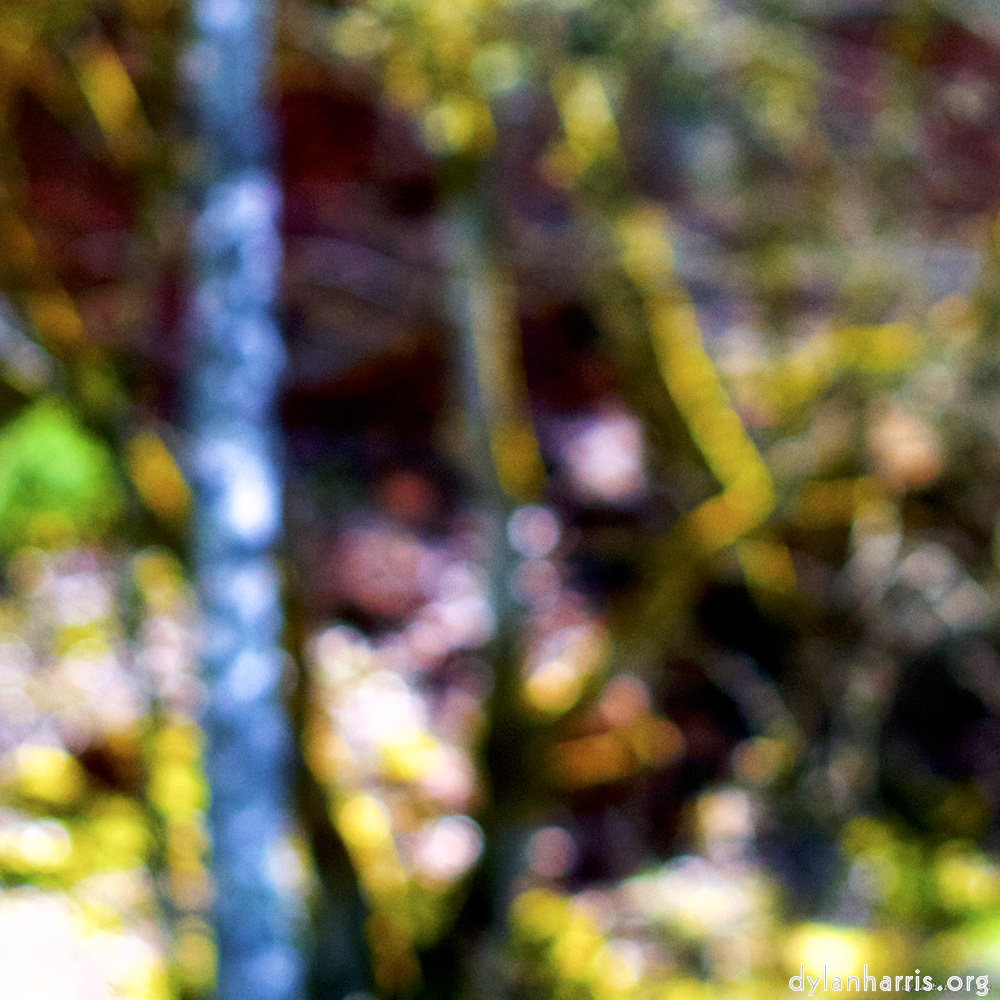 image: This is ‘
wood (xxix) 4
’.