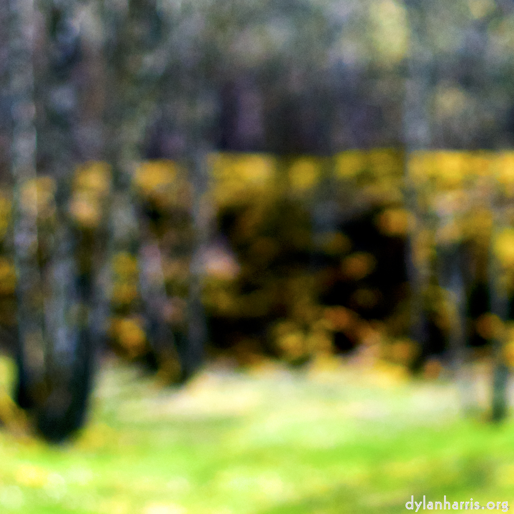 image: This is ‘
wood (xxix) 5
’.