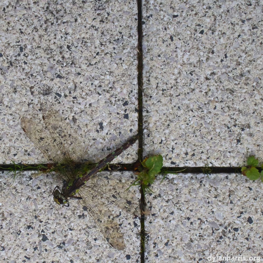 image: This is ‘
way to work (vii) 3
’.