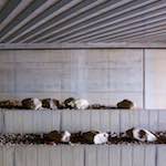 image: Image from the photoset ‘
way to work (vii)
’.