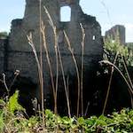 Image: Third image from the photoset 'larochette'.