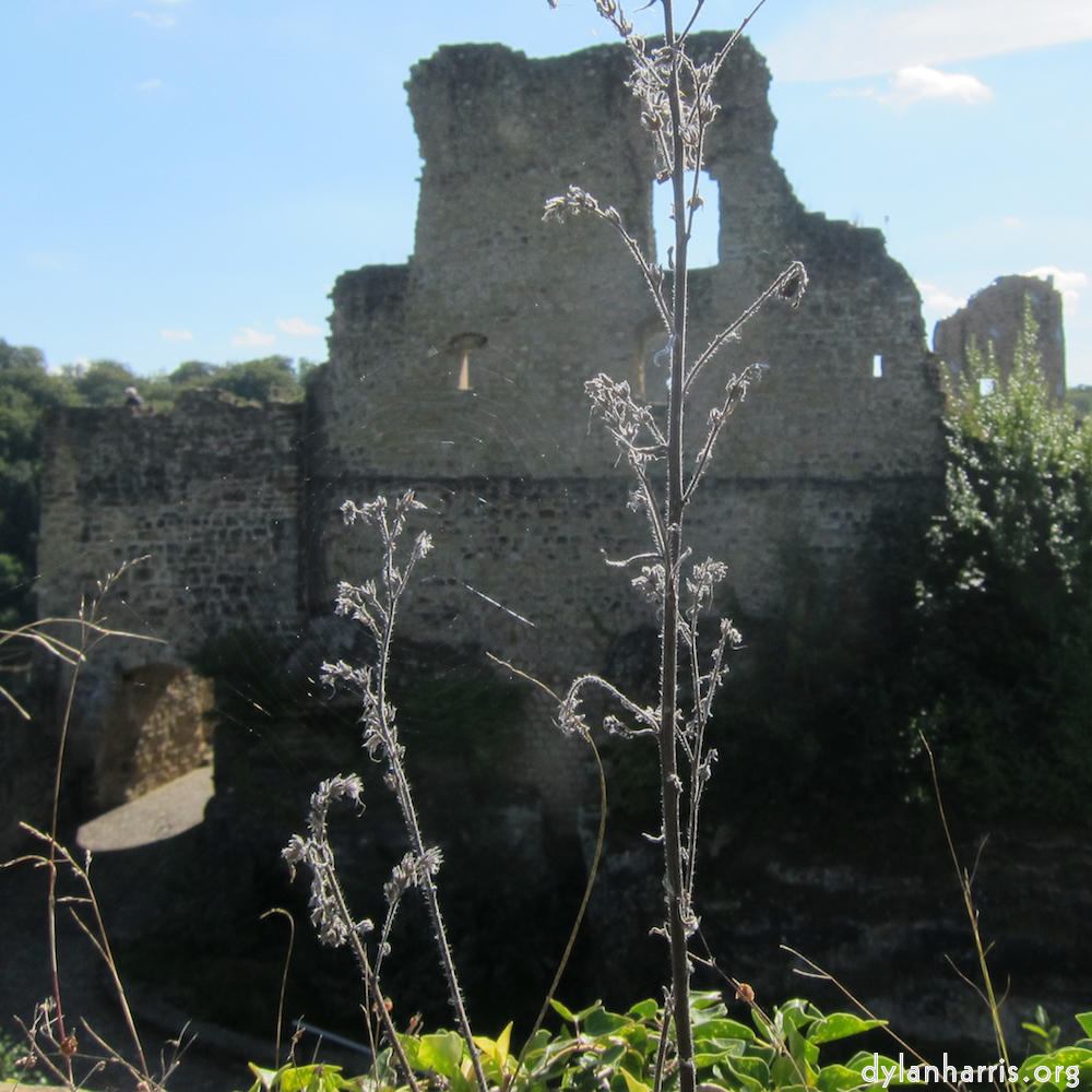 Image: Image 'larochette 4'.