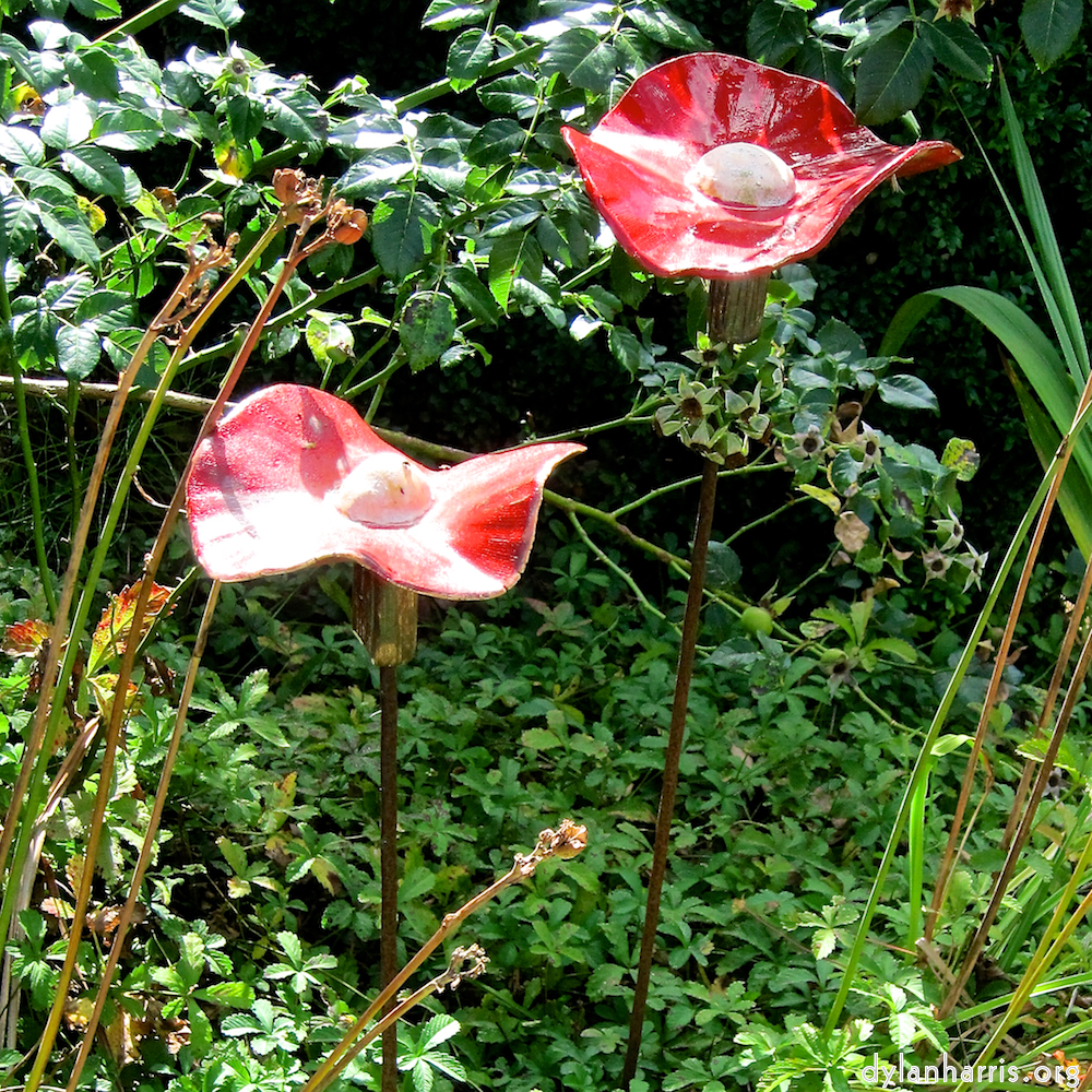 Image: Image 'larochette 6'.