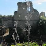 Image: Fourth image from the photoset 'larochette'.