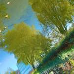 Fourth image from the photoset 'water (ii)'.