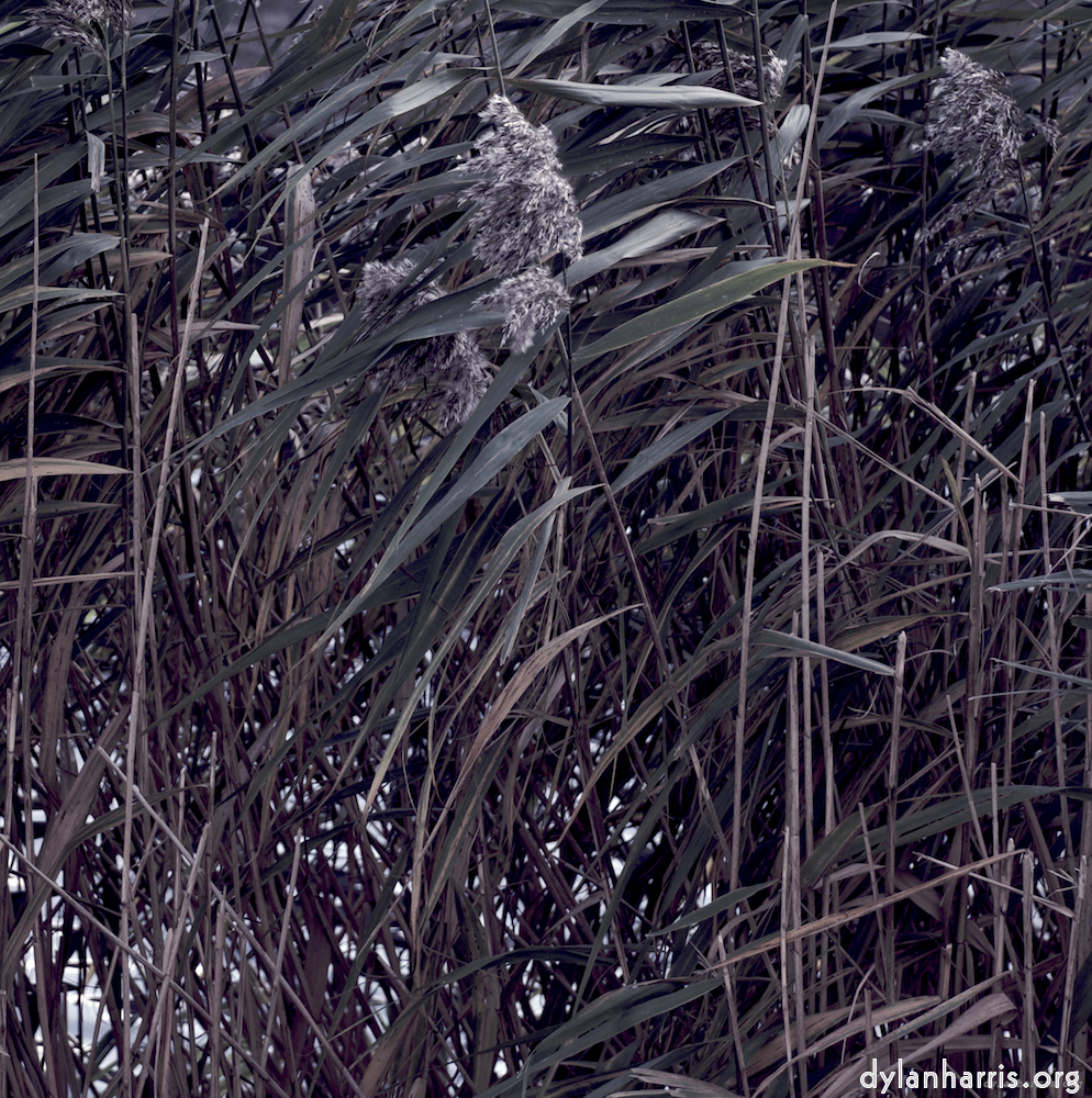 Image 'dublin (viii) 1'.