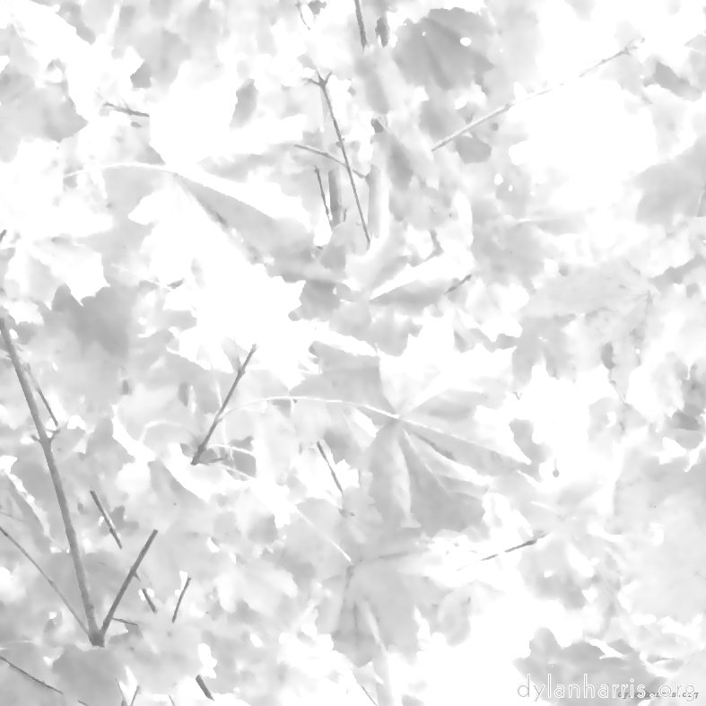 Image 'dublin (viii) 3'.