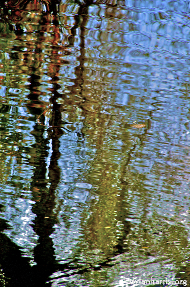 Image: Image 'water (iii) 3'.