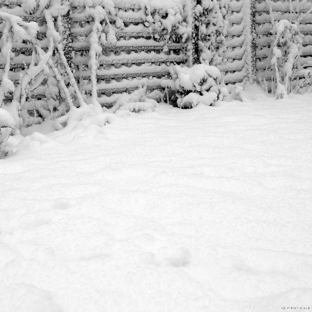 image: This is ‘
montmartre (xii) 3
’.