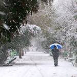 image: Image from the photoset ‘
montmartre (xii)
’.