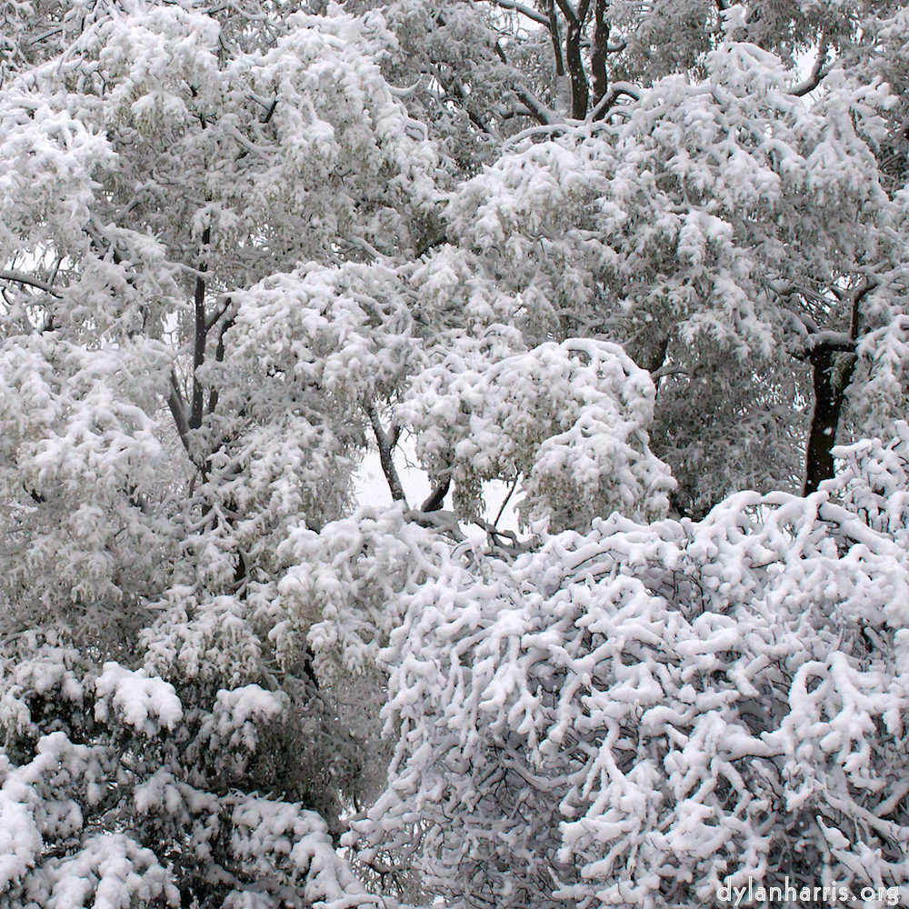 image: This is ‘
montmartre (xiii) 4
’.