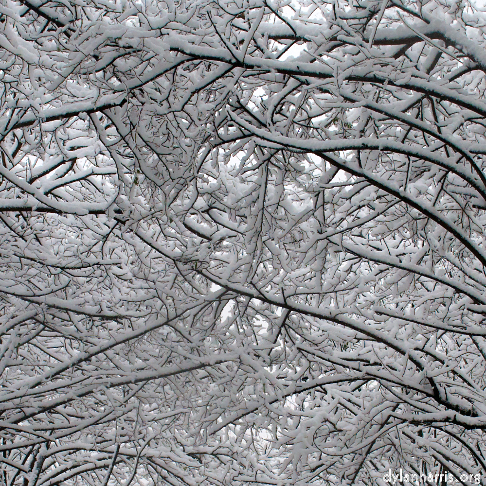 image: This is ‘
montmartre (xiii) 5
’.