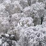 image: Image from the photoset ‘
montmartre (xiii)
’.