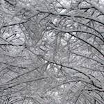 image: Image from the photoset ‘
montmartre (xiii)
’.