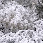 image: Image from the photoset ‘
montmartre (xiii)
’.