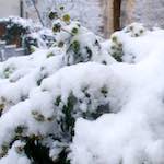 image: Image from the photoset ‘
montmartre (xiii)
’.