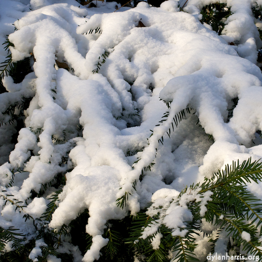 image: This is ‘
parc (x) 7
’.