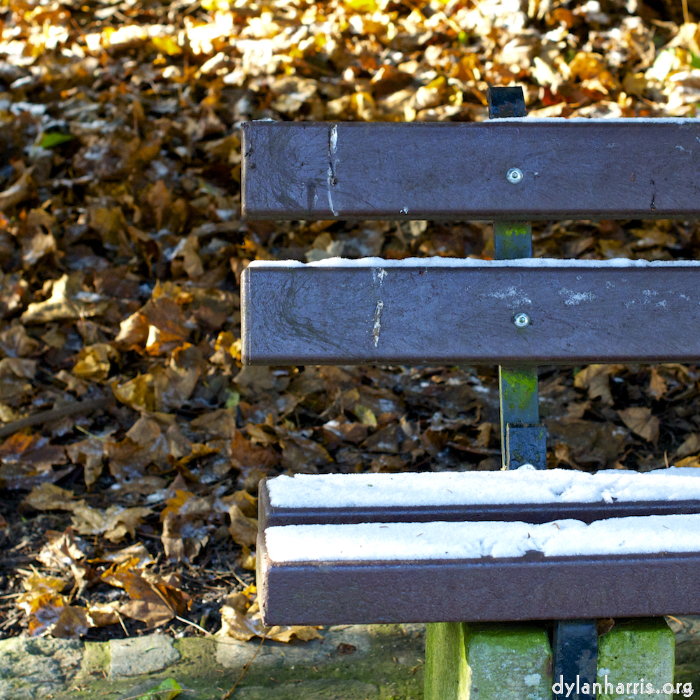 Image: bench