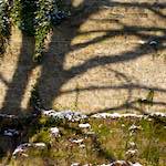 image: Image from the photoset ‘
parc (x)
’.