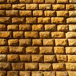 image: Image from the photoset ‘
parc (x)
’.