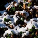 image: Image from the photoset ‘
parc (x)
’.