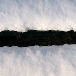 image: Image from the photoset ‘
parc (x)
’.